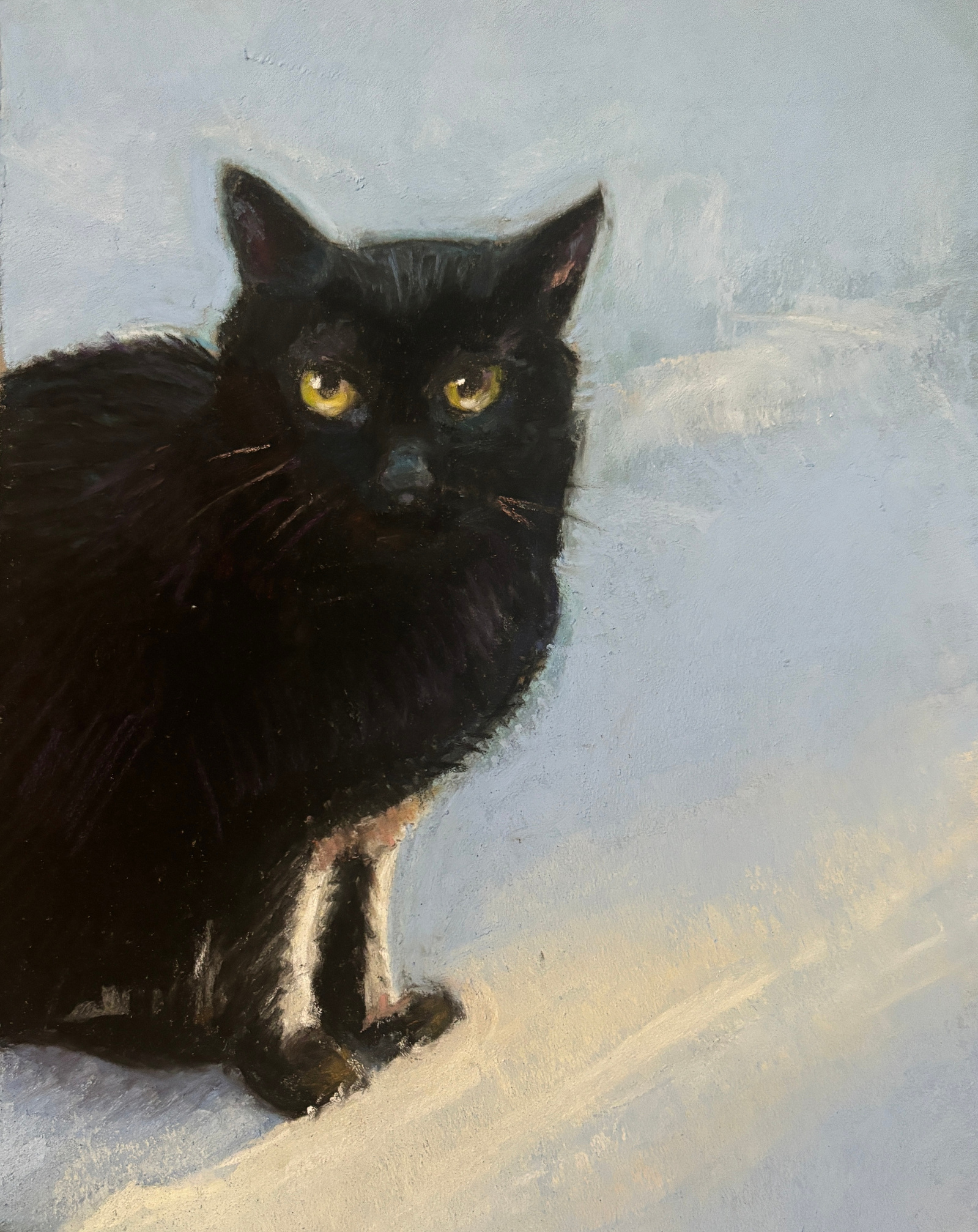 Black cat with yellow eyes sitting in a sunbeam