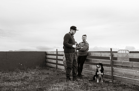 Janet Vermist Fotografie ijsland rettir schapen sheep iceland gathering farmer boer 