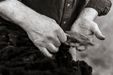 Janet Vermist Fotografie shetland vk farmer boer schapen sheep landschap bewoners