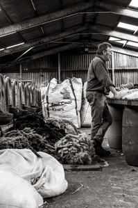 Janet Vermist Fotografie shetland vk farmer boer schapen sheep landschap bewoners