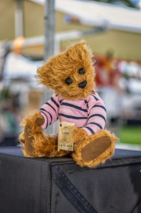 Janet Vermist Fotografie Wolfeest Balloo Zomer Fair