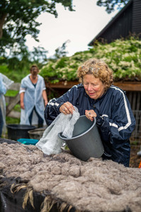 Janet Vermist Fotografie Wolfeest Balloo Zomer Fair