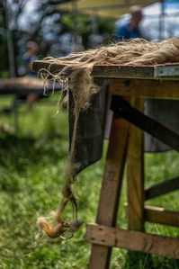 Janet Vermist Fotografie Wolfeest Balloo Zomer Fair