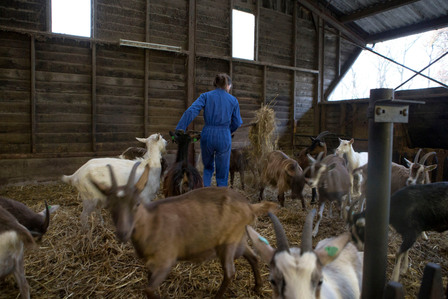 Janet Vermist Reportage Kruidenwei Nooitgedacht Geitenboerderij 