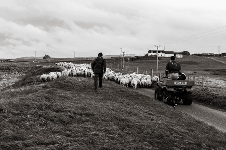 Janet Vermist Fotografie shetland vk farmer boer schapen sheep landschap bewoners jamieson woolmill wool