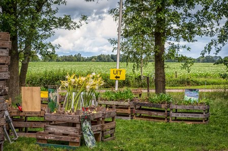 Janet Vermist Fotografie Wolfeest Balloo Zomer Fair