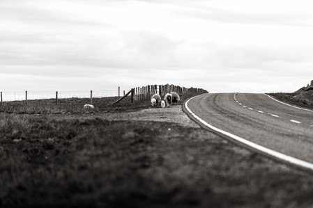 Janet Vermist Fotografie shetland vk farmer boer schapen sheep landschap bewoners