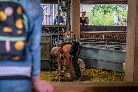 Janet Vermist Fotografie Wolfeest Balloo Zomer Fair