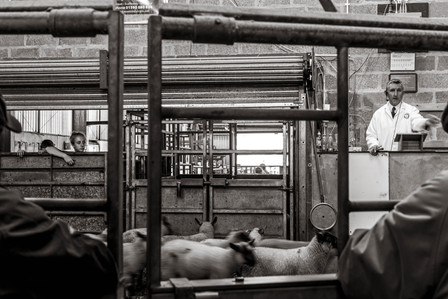 Janet Vermist Fotografie shetland vk farmer boer schapen sheep landschap bewoners