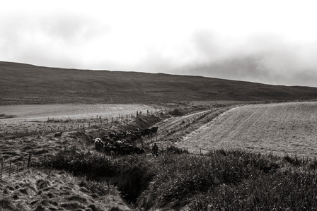 Janet Vermist Fotografie shetland vk farmer boer schapen sheep landschap bewoners