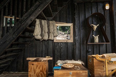 Janet Vermist Fotografie Wolfeest Balloo Zomer Fair