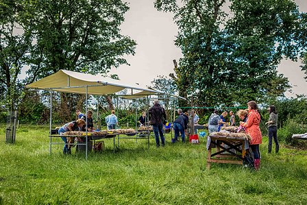 Janet Vermist Fotografie Wolfeest Balloo Zomer Fair