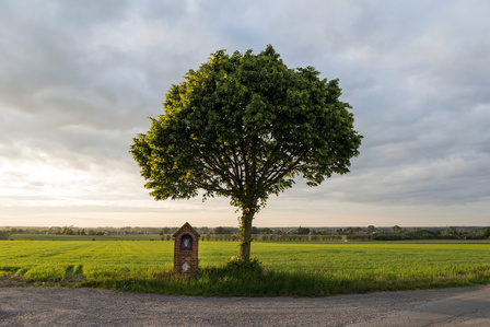 Janet Vermist Fotografie ronde van vlaanderen belgie wielrennen landschap impact bewoners
