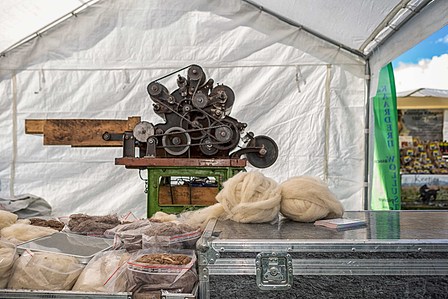 Janet Vermist Fotografie Wolfeest Balloo Zomer Fair