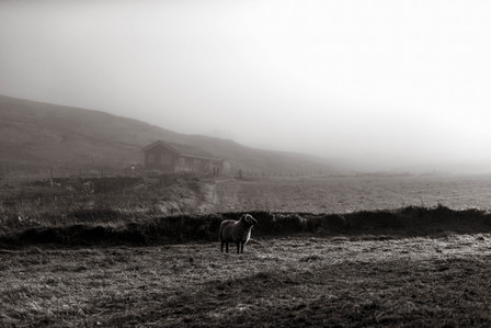 Janet Vermist Fotografie shetland vk farmer boer schapen sheep landschap bewoners