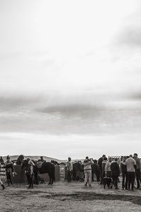 Janet Vermist Fotografie ijsland rettir schapen sheep iceland gathering farmer boer 