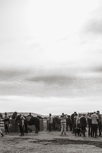 Janet Vermist Fotografie ijsland rettir schapen sheep iceland gathering farmer boer 