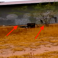 Side ways X graffiti symbols found. Communication from past signaling your travel cue.

General-relativistic analysis of charged-particle motion in electromagnetic fields surrounding black holes. Abstract and Figures. 