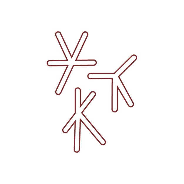Tomasz Kawecki's Portfolio