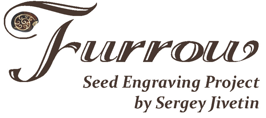 Sergey Jivetin Furrow seed engraving project.