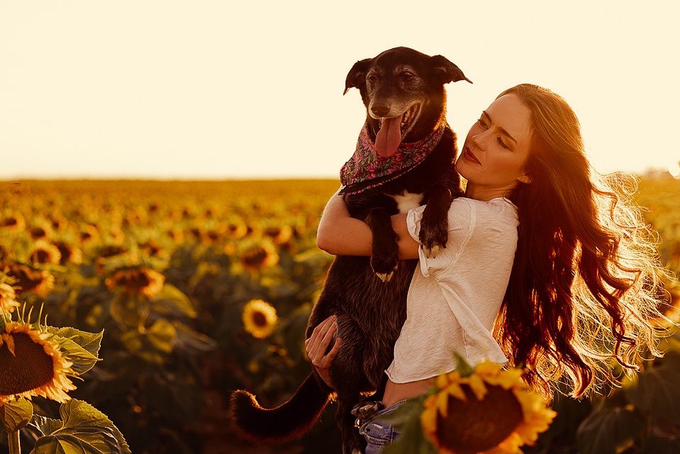 Sunflower portrait photography Denver Colorado pet photography boudoir photography Casper Wyoming Cari Faye Antonovich Katie Dooling 