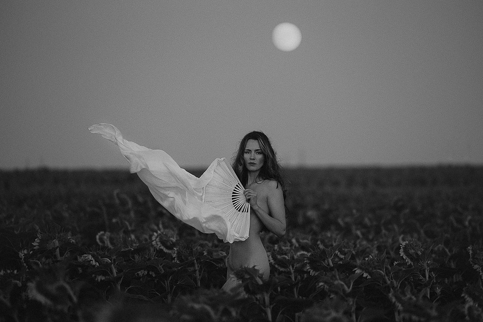 Sunflower portrait photography Denver Colorado pet photography boudoir photography Casper Wyoming Cari Faye Antonovich Katie Dooling the white room studios