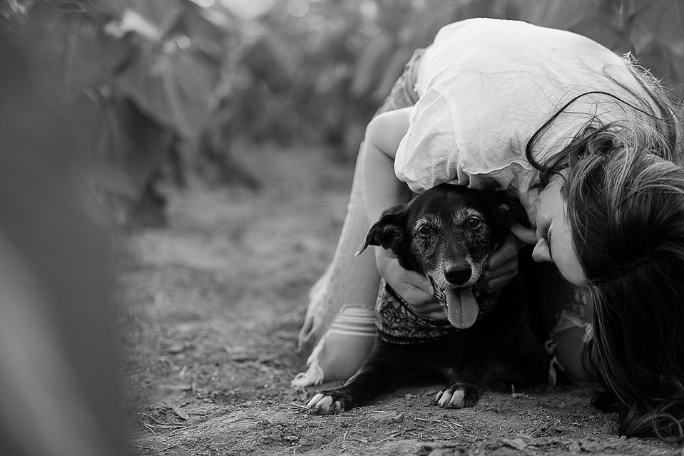 Sunflower portrait photography Denver Colorado pet photography boudoir photography Casper Wyoming Cari Faye Antonovich Katie Dooling 