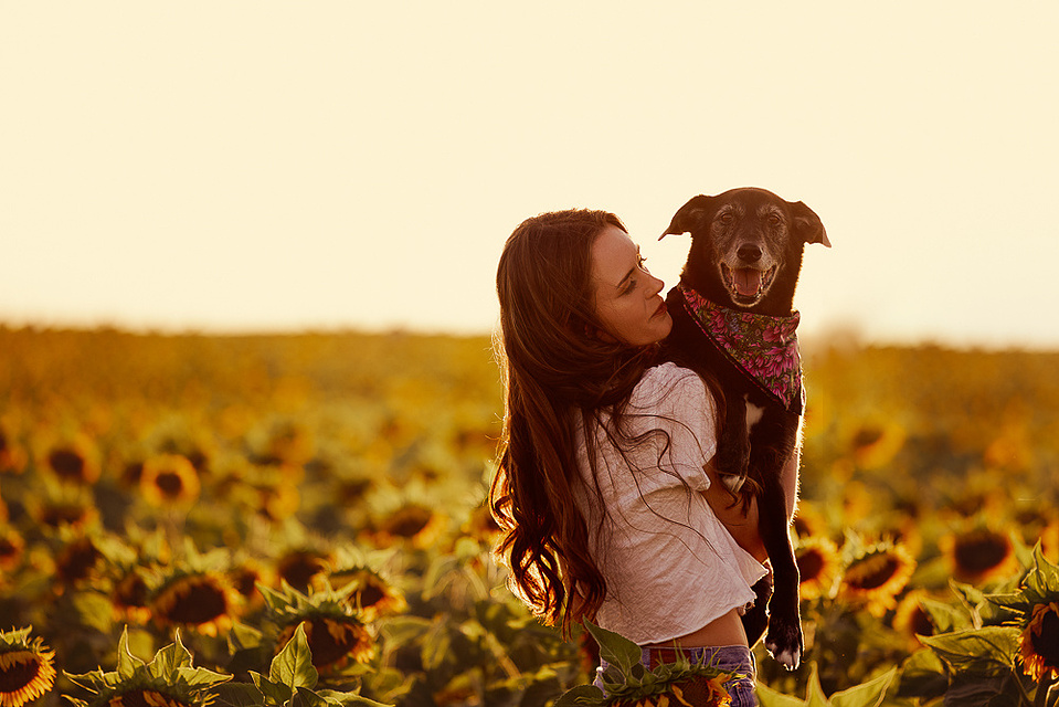 Sunflower portrait photography Denver Colorado pet photography boudoir photography Casper Wyoming Cari Faye Antonovich Katie Dooling the white room studios