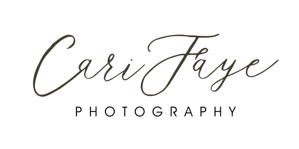 Cari Faye Antonovich's Portfolio