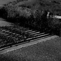 Casper Wyoming photographer, Casper Wyoming history, historic Casper Wyoming, old wyoming, Cari Faye photography, portrait photographer Casper Wyoming, senior portraits Casper Wyoming, history photographer, Casper Wyoming best photographer 