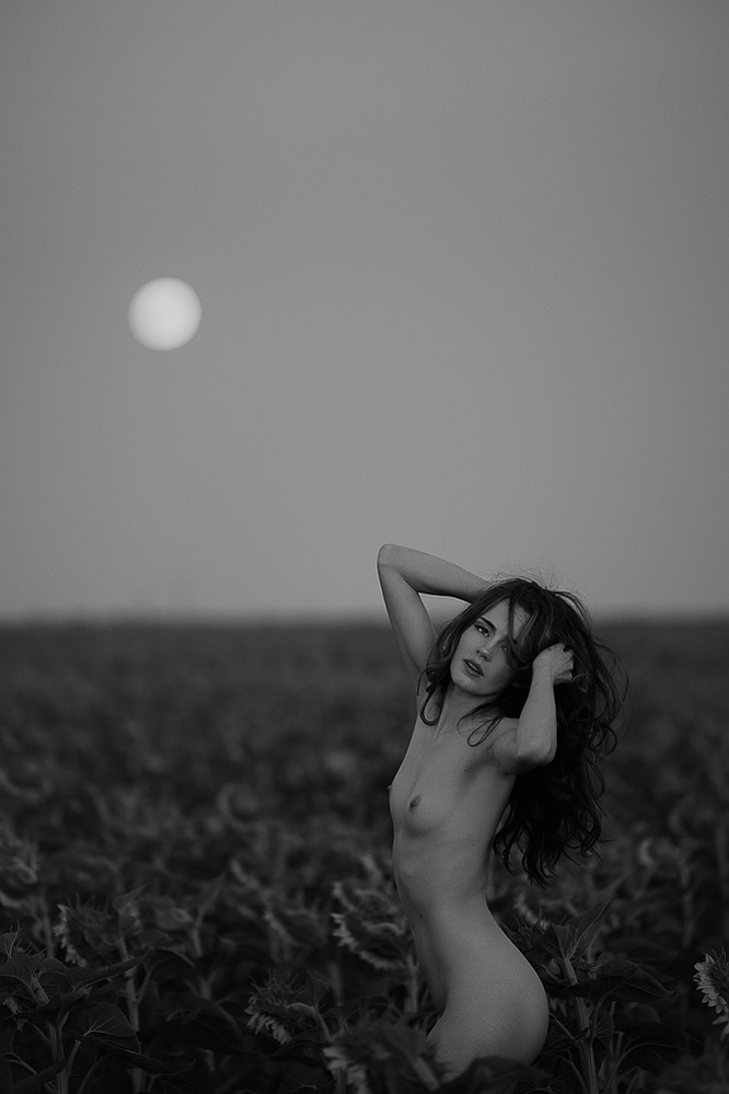 Sunflower portrait photography Denver Colorado pet photography boudoir photography Casper Wyoming Cari Faye Antonovich Katie Dooling the white room studios
