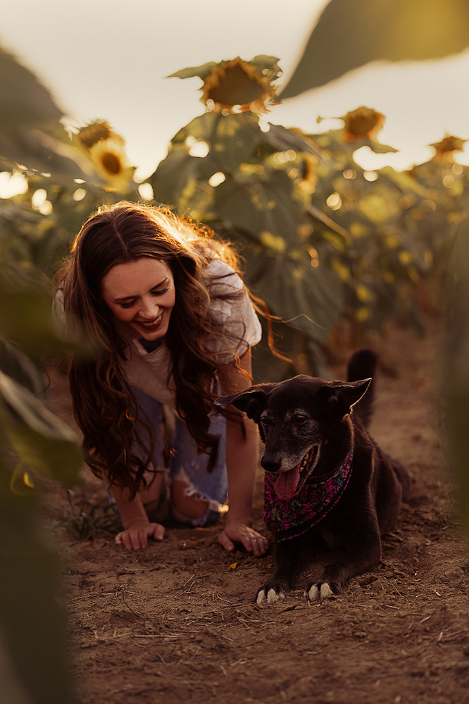 Sunflower portrait photography Denver Colorado pet photography boudoir photography Casper Wyoming Cari Faye Antonovich Katie Dooling the white room studios