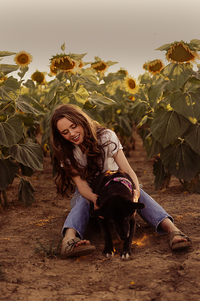 Sunflower portrait photography Denver Colorado pet photography boudoir photography Casper Wyoming Cari Faye Antonovich Katie Dooling the white room studios