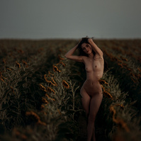 Sunflower portrait photography Denver Colorado pet photography boudoir photography Casper Wyoming Cari Faye Antonovich Katie Dooling the white room studios