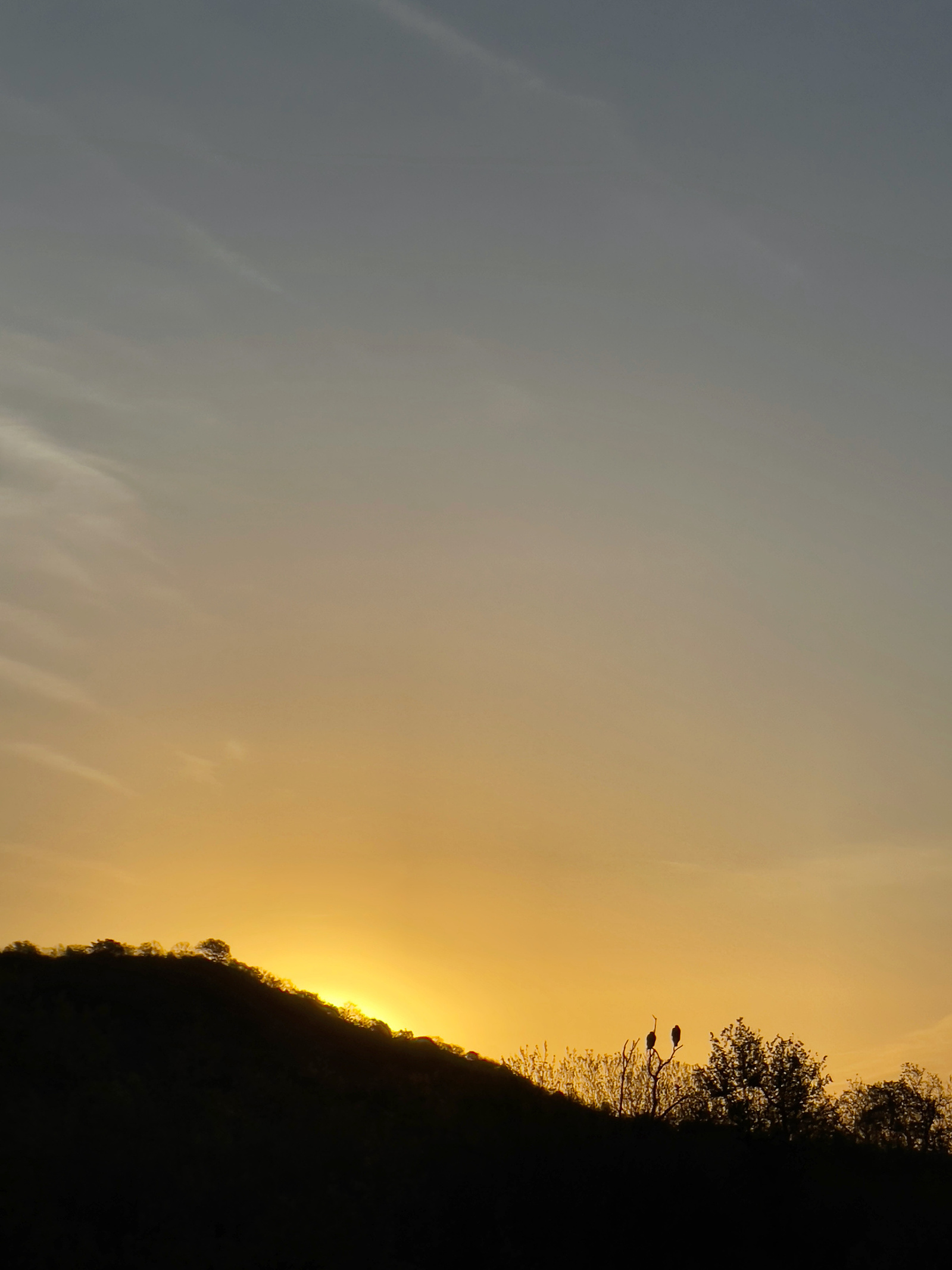 Sunrise in Necessity, TX