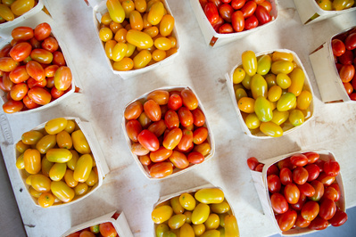 Red and yellow grape tomatoes evenly lined up at a Farmer's Market.