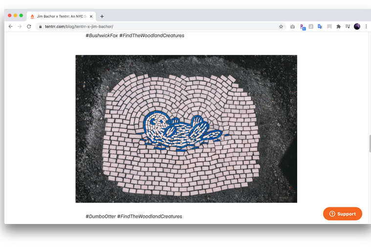 A custom pothole mosaic of an otter by Jim Bachor in a Manhattan street.