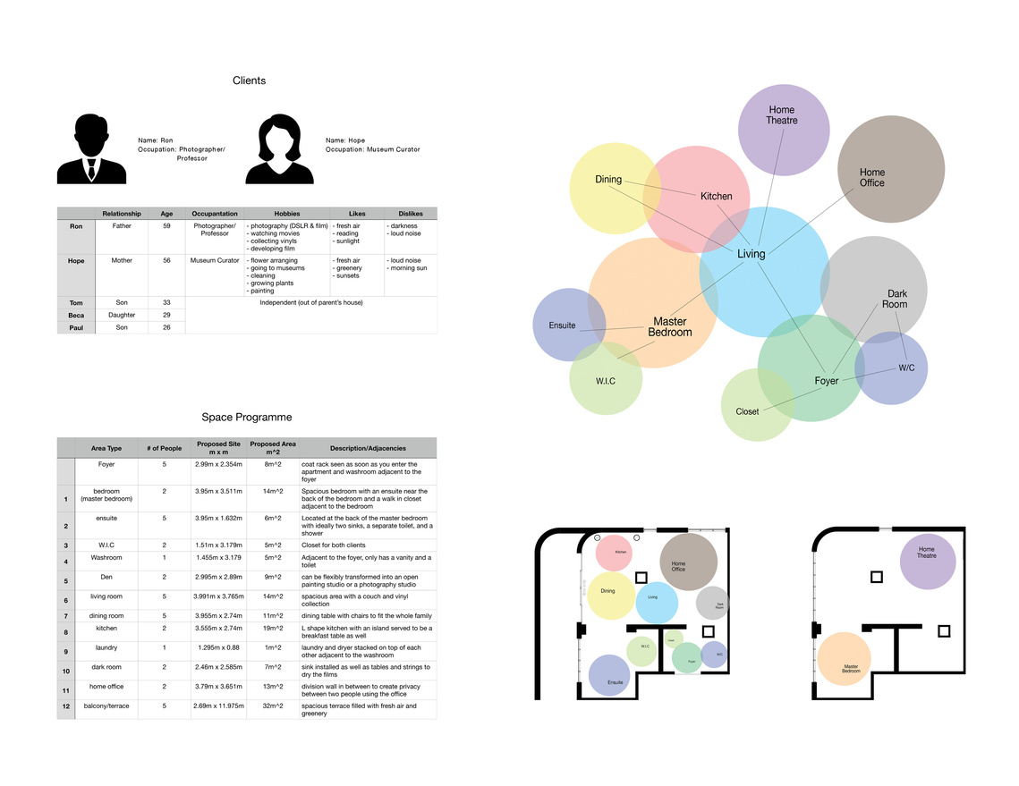 Client Analysis & Program Development