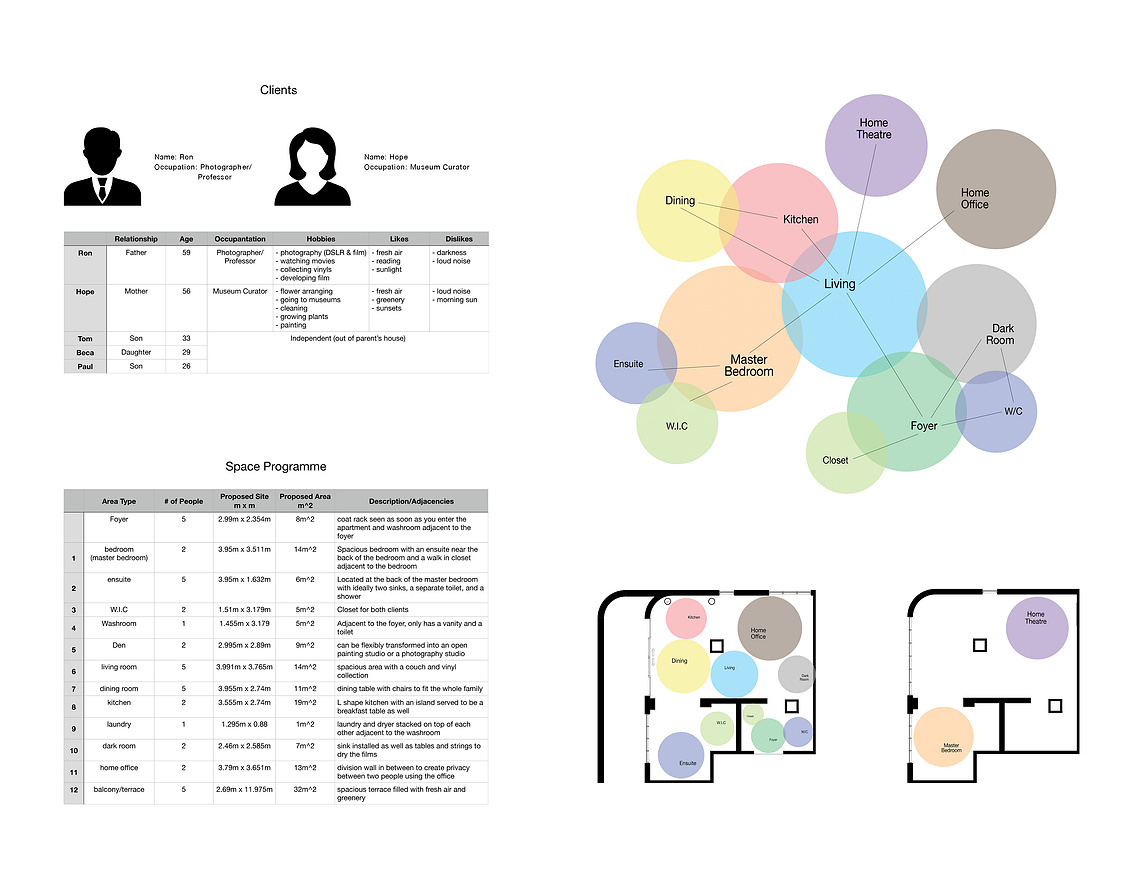 Client Analysis & Program Development