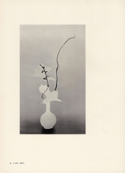 Leigh Wells, collage, portrait, works on paper, art, contemporary art, female artists, San Francisco artist, ikebana, photocollage, vintage ikebana