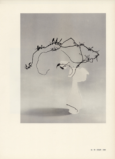 Leigh Wells, collage, portrait, works on paper, art, contemporary art, female artists, San Francisco artist, ikebana, photocollage, vintage ikebana