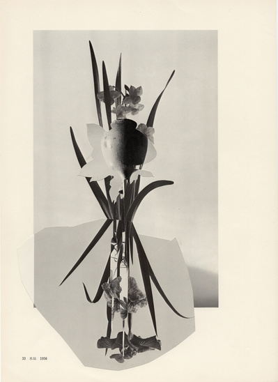 Leigh Wells, collage, portrait, works on paper, art, contemporary art, female artists, San Francisco artist, ikebana, photocollage, vintage ikebana