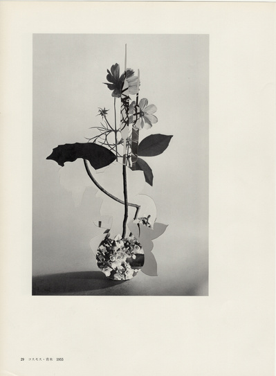 Leigh Wells, collage, portrait, works on paper, art, contemporary art, female artists, San Francisco artist, ikebana, photocollage, vintage ikebana