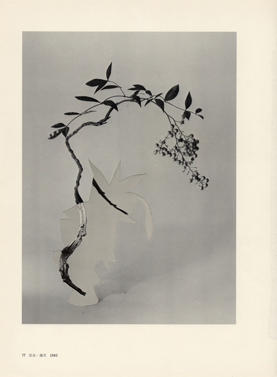 Leigh Wells, collage, portrait, works on paper, art, contemporary art, female artists, San Francisco artist, ikebana, photocollage, vintage ikebana