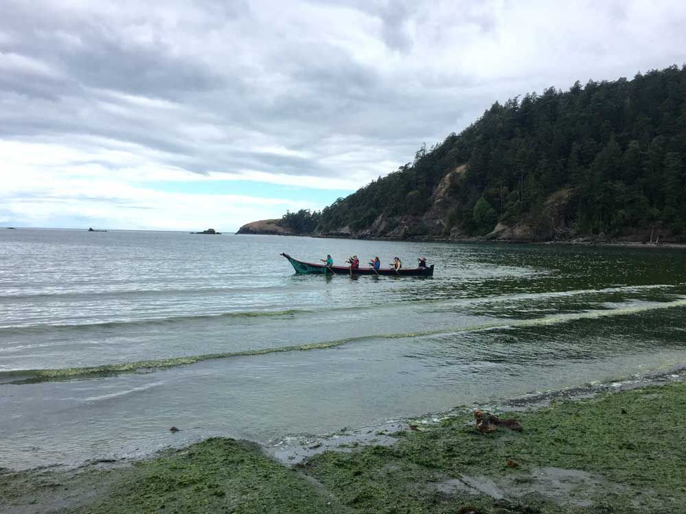 Salish Sea, Native American, canoe, Samish, Swinomish, Tribal, culture, celebration, Colette Weeks