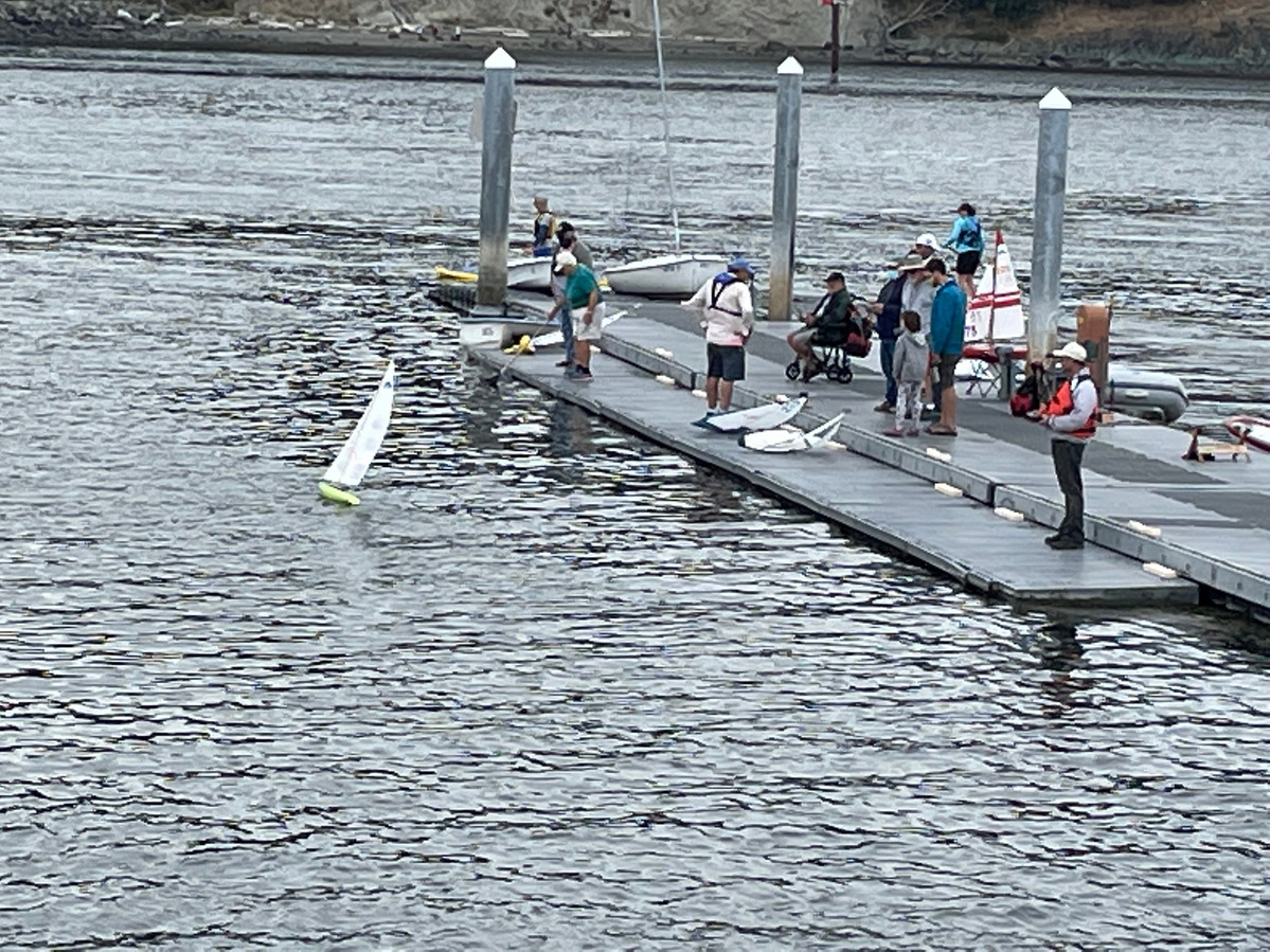 sailboat hobbyists racing remote-controlled boats in Fidalgo Bay, Anacortes, Washington, Colette Weeks