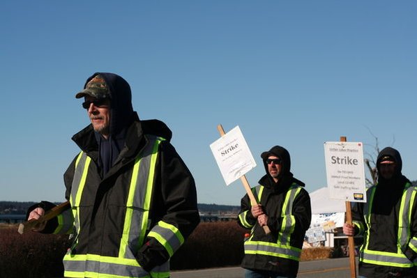 strike, tesoro refinery, oil, steelworkers, union, Colette Weeks