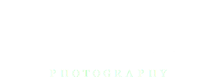 David Armstrong Photography - Beyond the Norm