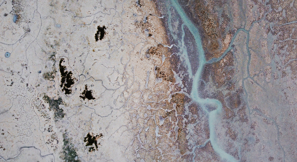 ola mae photo drone photography bike