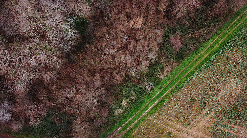 ola mae landscape france